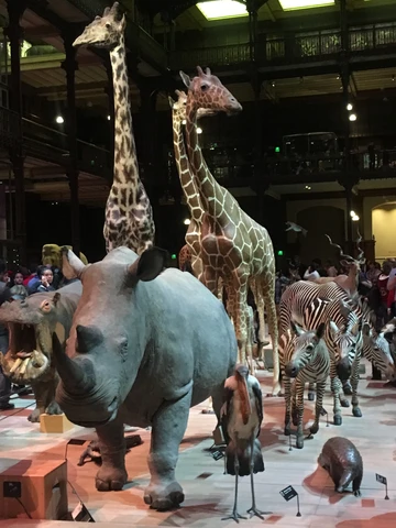 6b5ce0 45014a7b43144f33bd97b03605a59145mv2 d 3024 4032 s 4 2